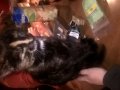 WP_20160512_004.jpg